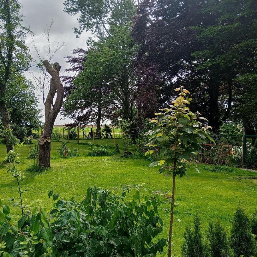 Ferienwohnung-Im-Karolinenkoog-Erholung-Zwischen-Feld-Und-Deich Exteriör bild